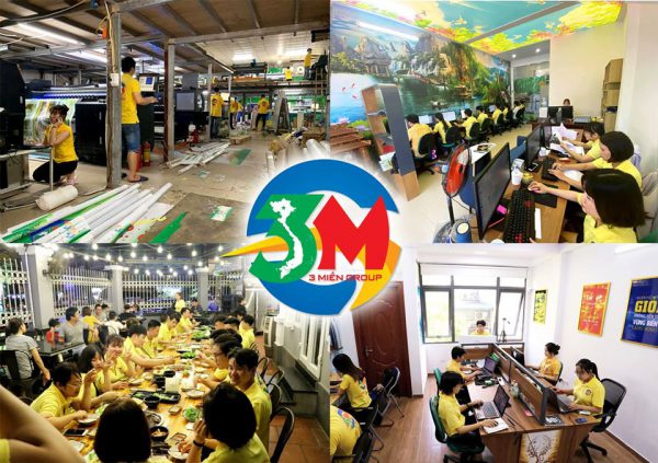 in 3 miền hướng đi qua đại dịch covid
